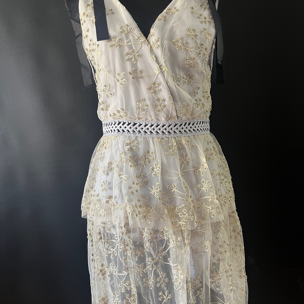 Self Portrait embellished lace dress size 8